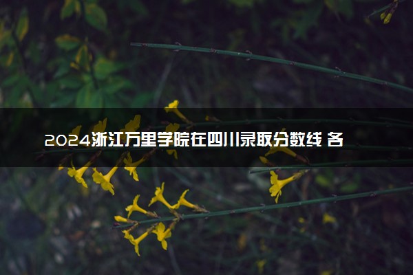 2024浙江万里学院在四川录取分数线 各专业分数及位次