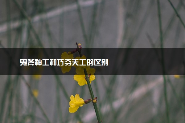 鬼斧神工和巧夺天工的区别