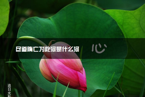 尽道隋亡为此河是什么河