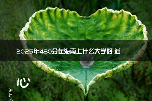 2025年480分在海南上什么大学好 近三年录取分数线是多少