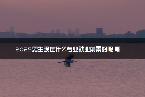 2025男生现在什么专业就业前景好呢 哪些好找工作