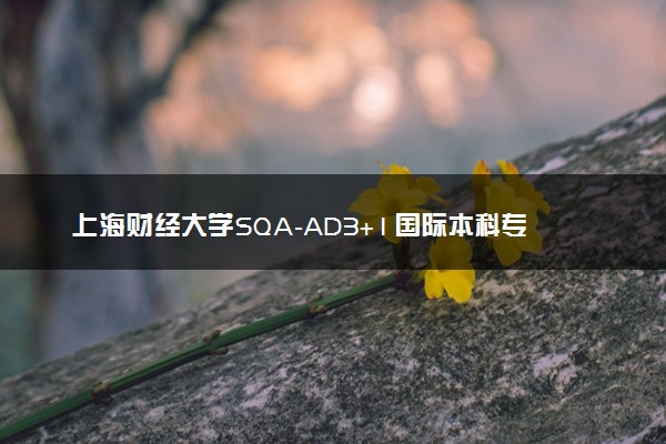 上海财经大学SQA-AD3+1国际本科专业及学费 实力怎么样
