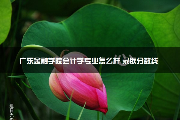 广东金融学院会计学专业怎么样 录取分数线多少