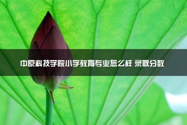 中原科技学院小学教育专业怎么样 录取分数线多少