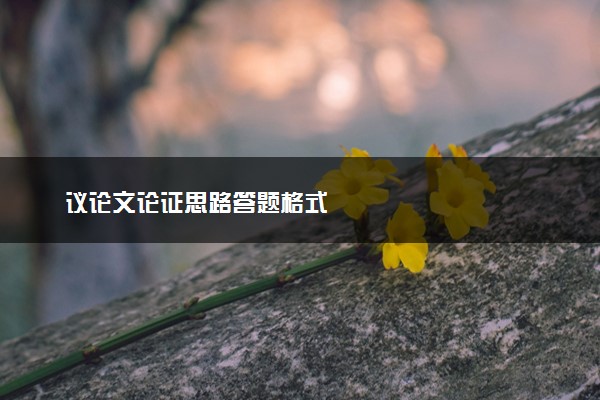 议论文论证思路答题格式