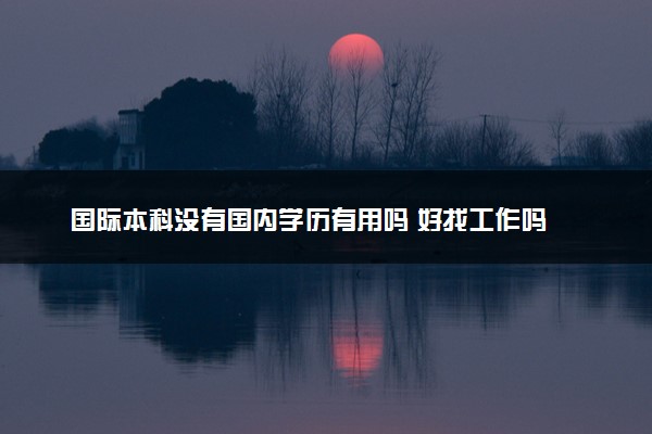 国际本科没有国内学历有用吗 好找工作吗