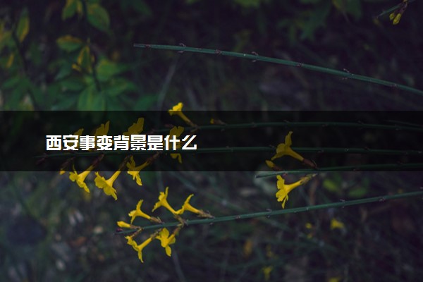 西安事变背景是什么