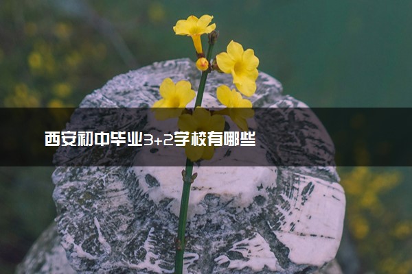 西安初中毕业3+2学校有哪些