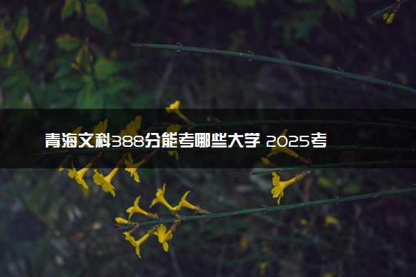 青海文科388分能考哪些大学 2025考生稳上的大学名单