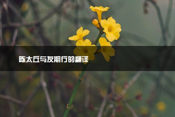 陈太丘与友期行的翻译