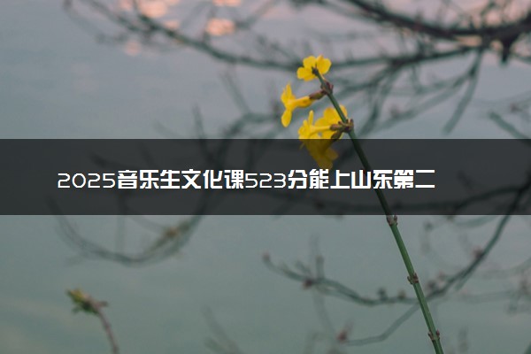 2025音乐生文化课523分能上山东第二医科大学吗