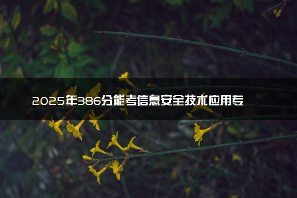 2025年386分能考信息安全技术应用专业吗 386分信息安全技术应用专业大学推荐