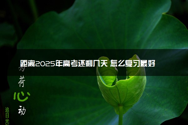 距离2025年高考还剩几天 怎么复习最好
