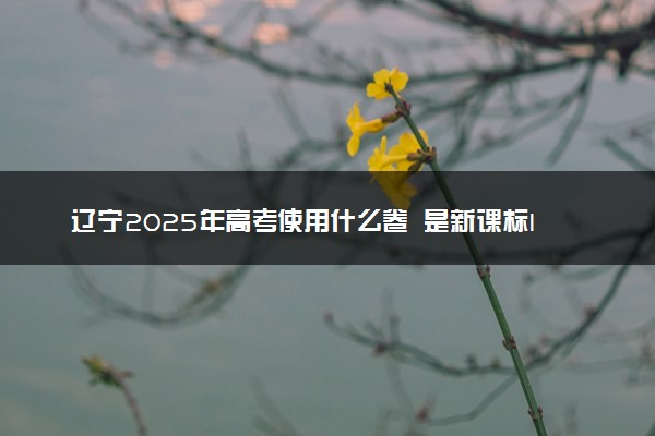 辽宁2025年高考使用什么卷 是新课标I卷还是II卷