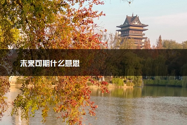 未来可期什么意思