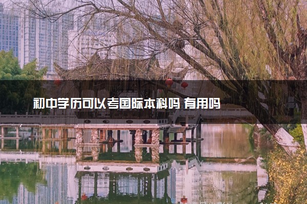 初中学历可以考国际本科吗 有用吗