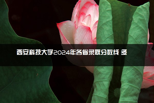 西安科技大学2024年各省录取分数线 多少分能考上