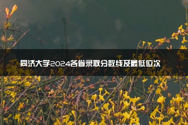 同济大学2024各省录取分数线及最低位次是多少