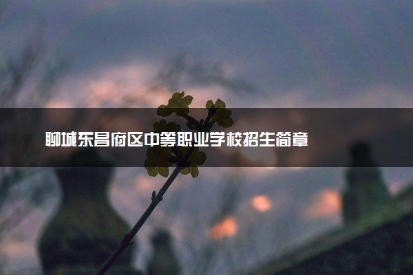聊城东昌府区中等职业学校招生简章