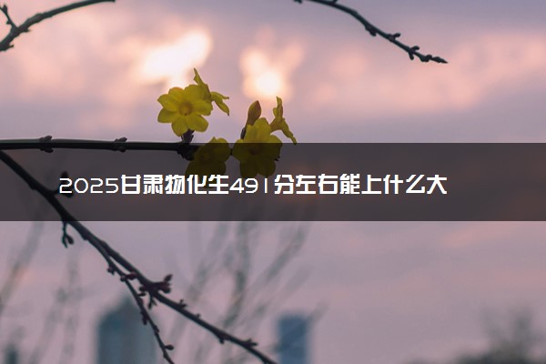 2025甘肃物化生491分左右能上什么大学 可以报考的院校名单