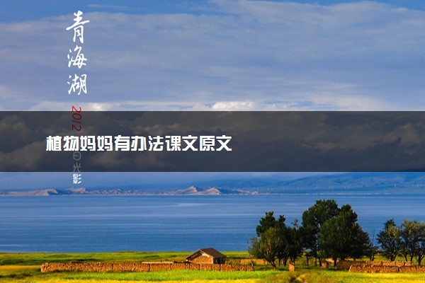 植物妈妈有办法课文原文