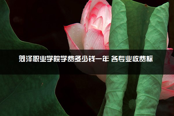 菏泽职业学院学费多少钱一年 各专业收费标准（2025年参考）