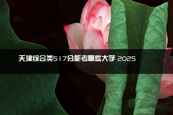 天津综合类517分能考哪些大学 2025考生稳上的大学名单