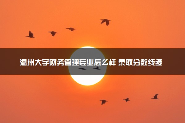 温州大学财务管理专业怎么样 录取分数线多少
