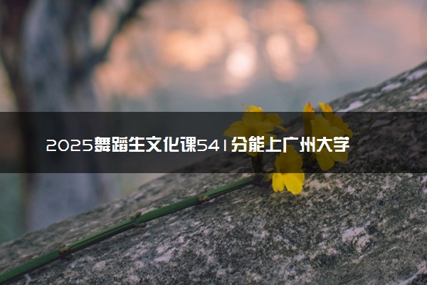 2025舞蹈生文化课541分能上广州大学吗