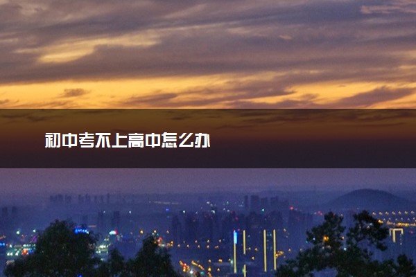 初中考不上高中怎么办