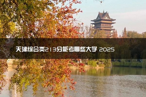 天津综合类213分能考哪些大学 2025考生稳上的大学名单