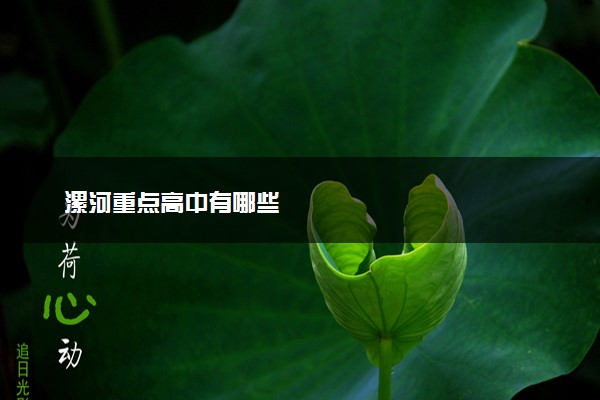 漯河重点高中有哪些