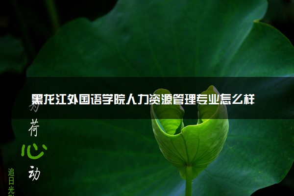 黑龙江外国语学院人力资源管理专业怎么样 录取分数线多少