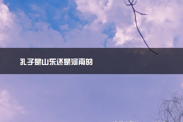 孔子是山东还是河南的