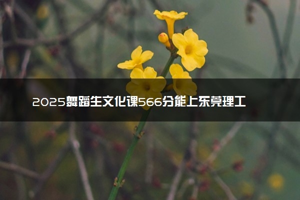 2025舞蹈生文化课566分能上东莞理工学院吗