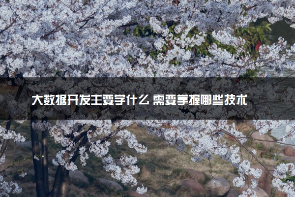 大数据开发主要学什么 需要掌握哪些技术