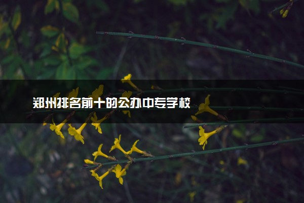 郑州排名前十的公办中专学校