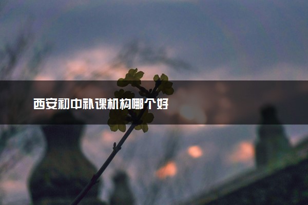 西安初中补课机构哪个好