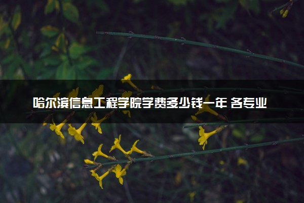 哈尔滨信息工程学院学费多少钱一年 各专业收费标准（2025年参考）