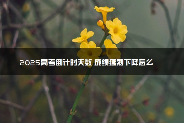 2025高考倒计时天数 成绩猛烈下降怎么办