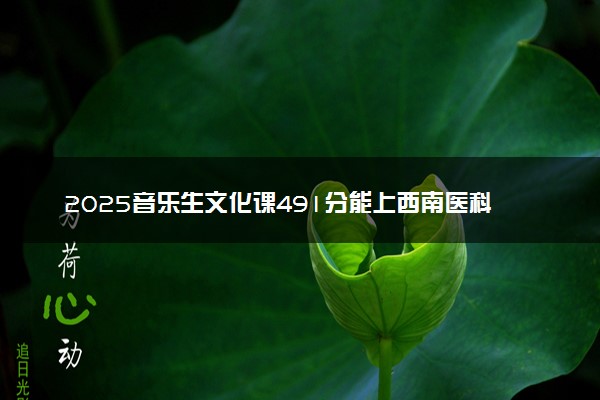 2025音乐生文化课491分能上西南医科大学吗