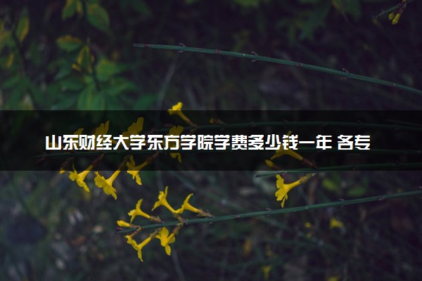 山东财经大学东方学院学费多少钱一年 各专业收费标准（2025年参考）
