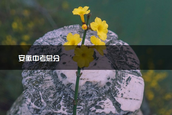 安徽中考总分