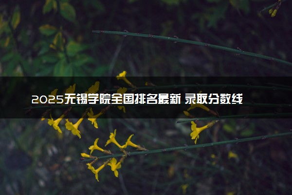 2025无锡学院全国排名最新 录取分数线是多少