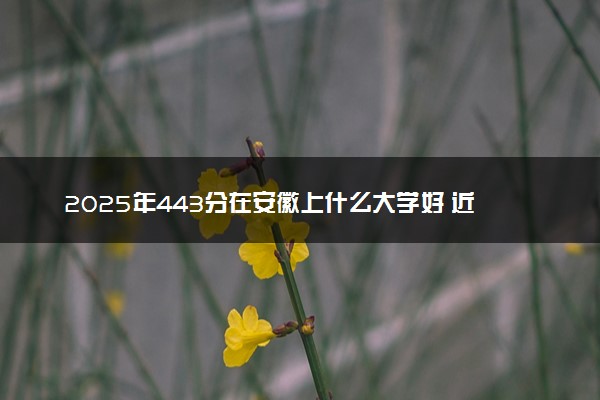 2025年443分在安徽上什么大学好 近三年录取分数线是多少