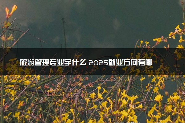 旅游管理专业学什么 2025就业方向有哪些