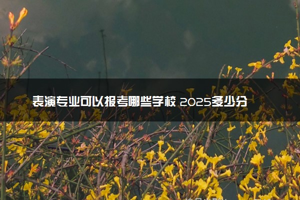 表演专业可以报考哪些学校 2025多少分能上