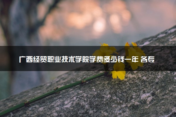 广西经贸职业技术学院学费多少钱一年 各专业收费标准（2025年参考）