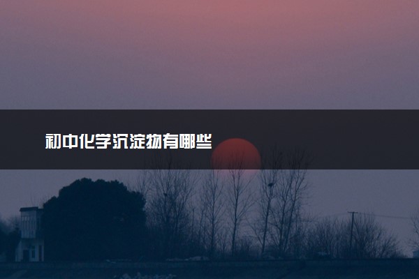 初中化学沉淀物有哪些