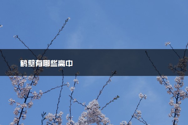 鹤壁有哪些高中